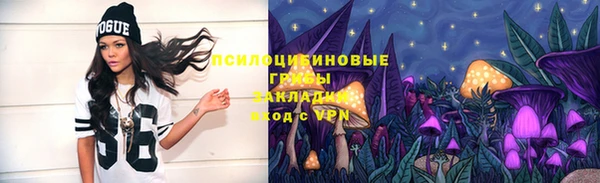 стафф Каменногорск