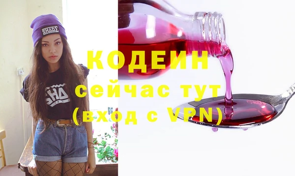 дурь Каменка