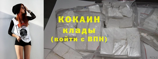 стафф Каменногорск
