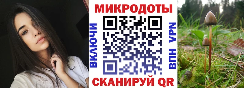 Псилоцибиновые грибы MAGIC MUSHROOMS  Купить закладки  Донской 