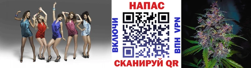 Купить где  Донской  Марихуана план 